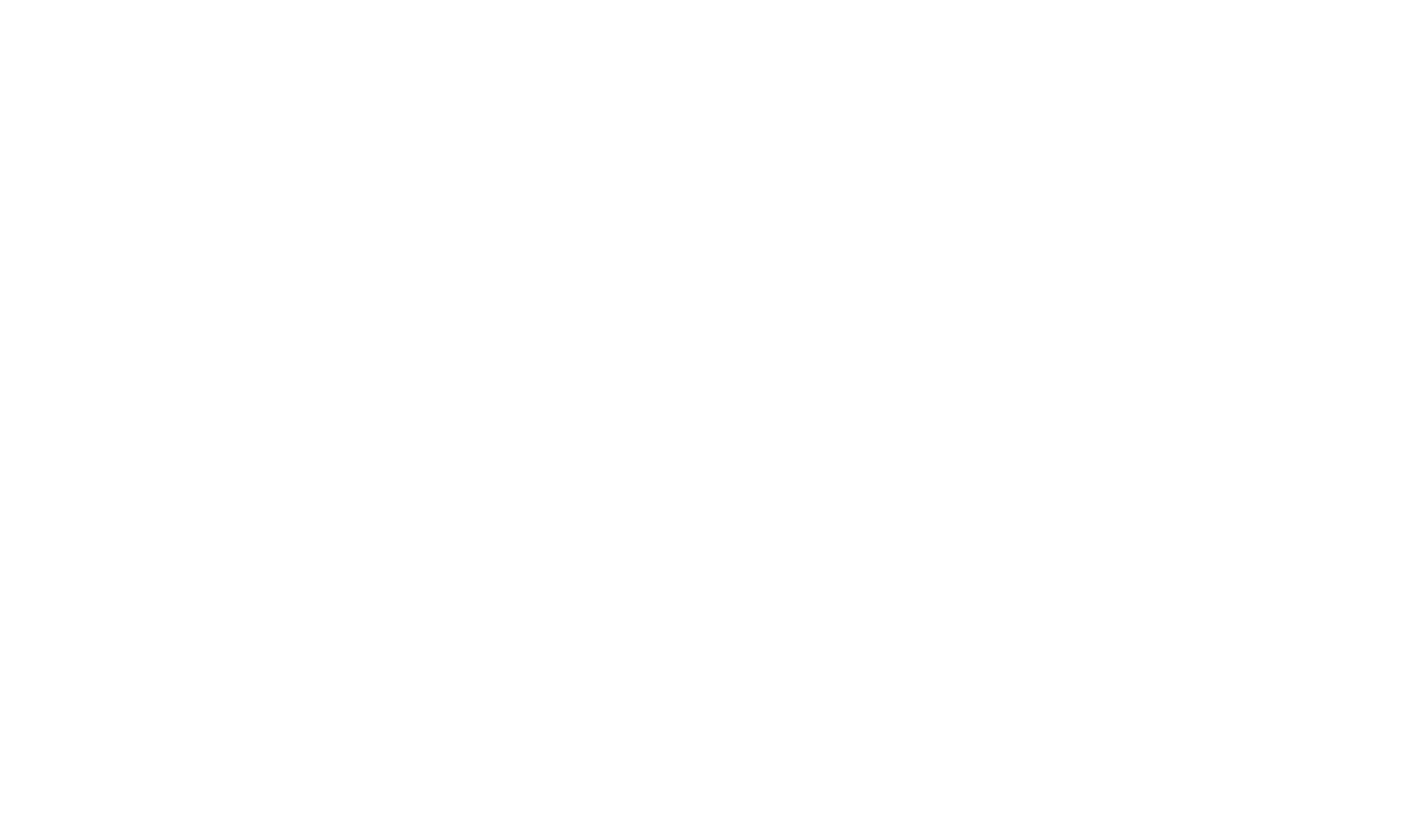 Capricorno Logo